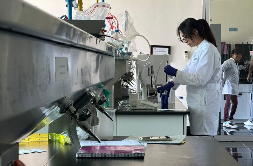  Ofrece Sader 40 % de descuento a productores agroalimentarios para estudios de laboratorio