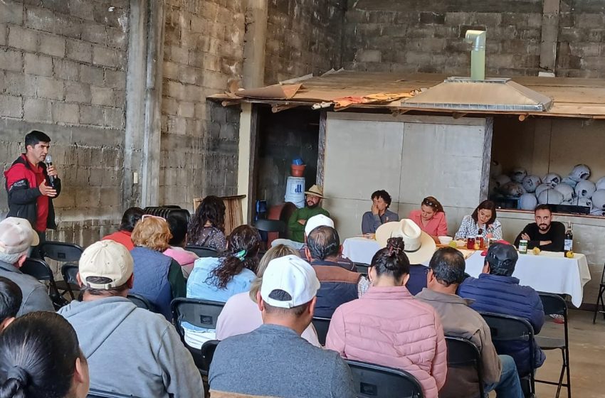  Van fruticultores de Zinapécuaro y Sader por valor agregado al durazno y ciruela