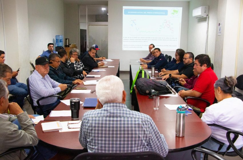 Plantearán productores de maíz y Gobierno estatal aumentar apoyos a producción del grano