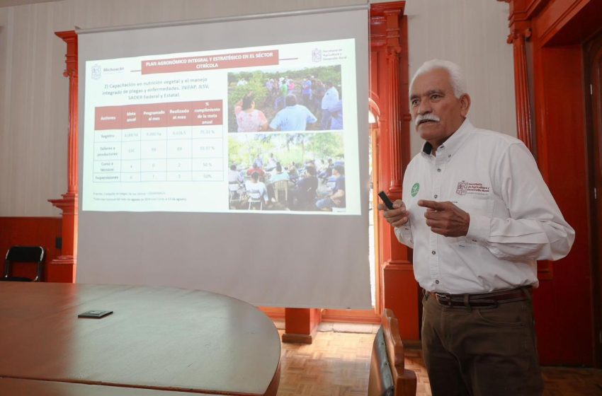  Respalda Gobierno de Michoacán certificación de producción del limón