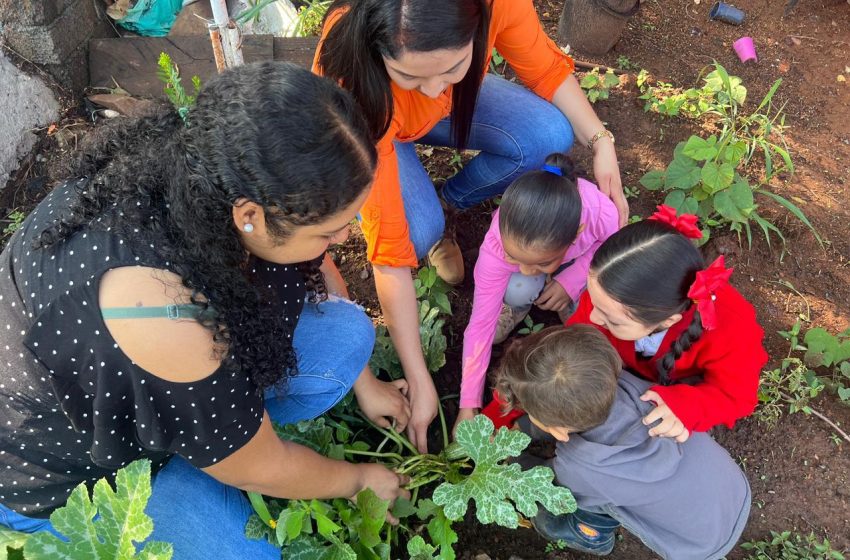  Sader ha puesto en marcha 2 mil huertos escolares en 350 planteles