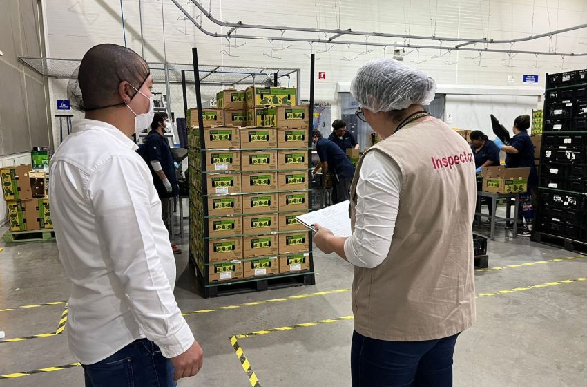  Se ha sancionado a 18 empresas por incumplir con sus trabajadores: Sedeco