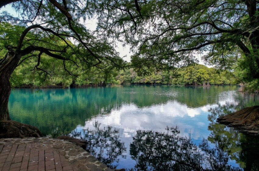  En gobierno de Bedolla, decretadas más de 146 mil hectáreas como Áreas Naturales Protegidas