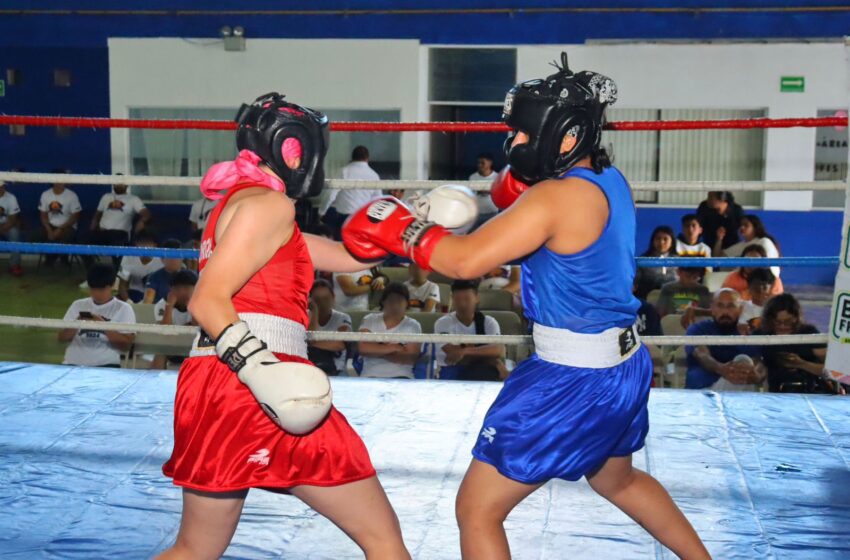  Club de Box Guerreros Morelia, listo para competencia estatal en Apatzingán