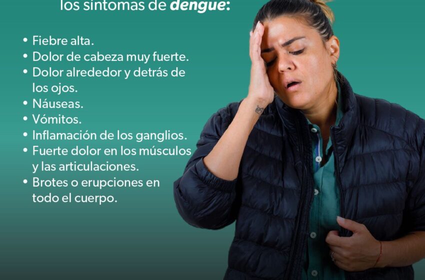  Conoce los síntomas del dengue y cómo prevenirlo desde las escuelas