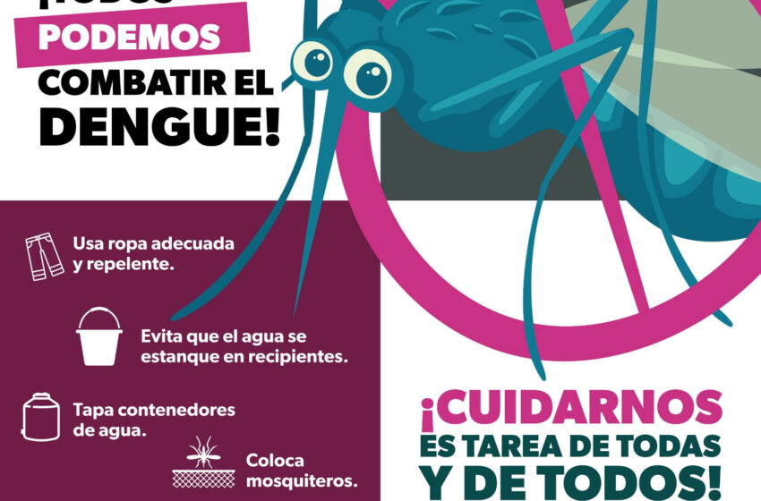  Presenta SEE consejos para prevenir el dengue en las escuelas