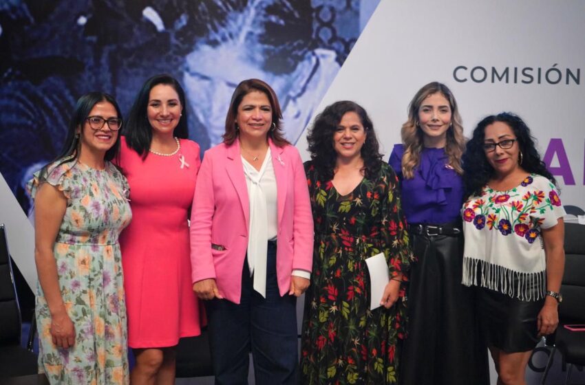  En el Congreso Local soy compañera de lucha y aliada de las mujeres: Brissa Arroyo