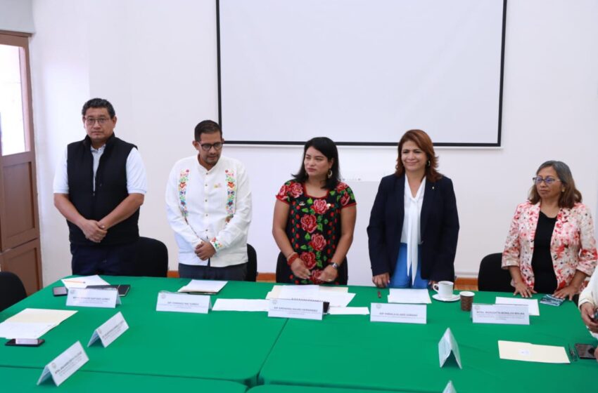  76 Legislatura es aliada de los pueblos originarios
