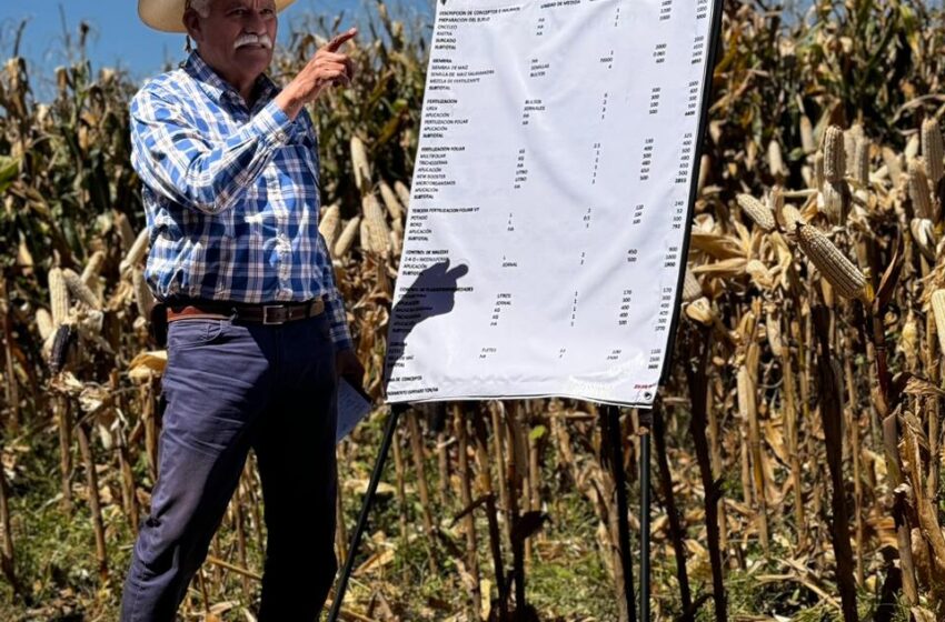 Sader promueve la agroecología para contribuir a la regeneración de suelos