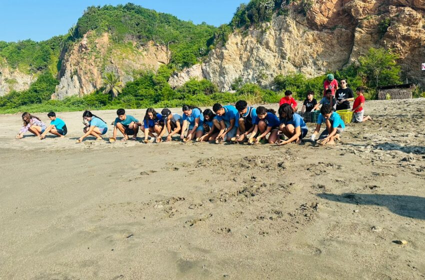 Estudiantes del Cecytem Caleta de Campos realizan liberación de tortugas en costas michoacanas
