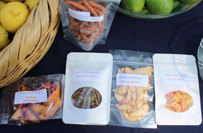  Cultivando Conocimientos: Gobierno de Morelia anuncia la 3ª Expo de Comunidades de Aprendizaje Campesino