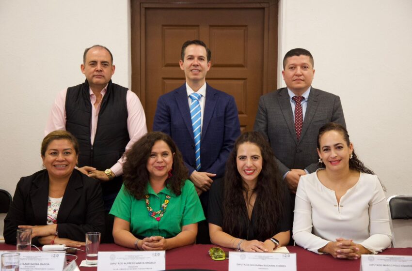  “No golpearemos el bolsillo del pueblo”: Diputada Bugarini respecto a votación de las leyes de ingresos
