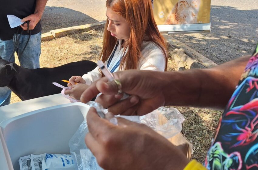  Gobierno de Morelia rescata ejemplares caninos de maltrato animal