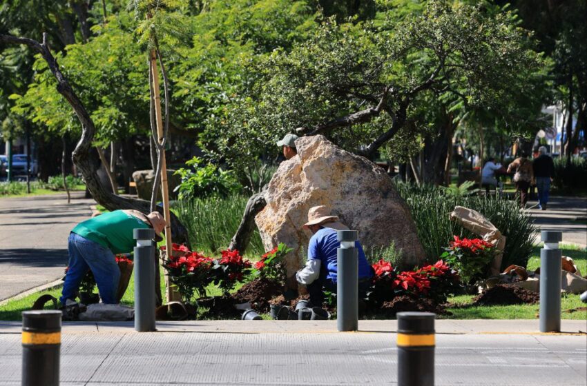  El espíritu navideño impregna Morelia; turistas quedan maravillados
