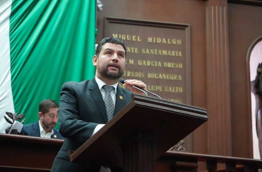  Octavio Ocampo impulsa iniciativa para garantizar un marco seguro y confidencial para las mujeres que accedan a la interrupción legal del embarazo