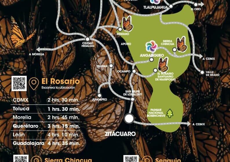  Conoce las rutas para llegar a los Santuarios de la Monarca
