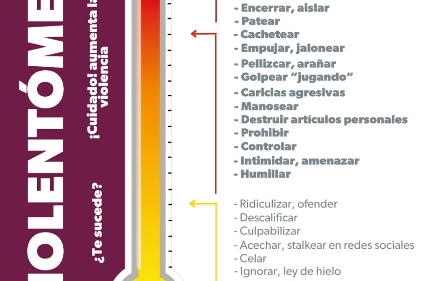  Conoce la herramienta de la Seimujer que ayuda a medir la violencia de género