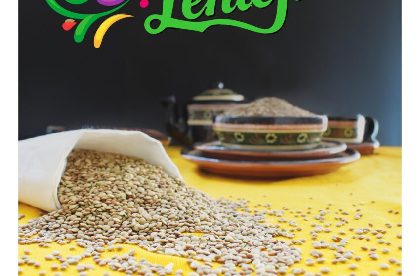 Más de 830 productores participarán en el Festival de la Lenteja de Coeneo