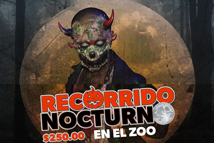  ¿Sin planes para este fin de semana? El Zoológico te invita a sus recorridos nocturnos