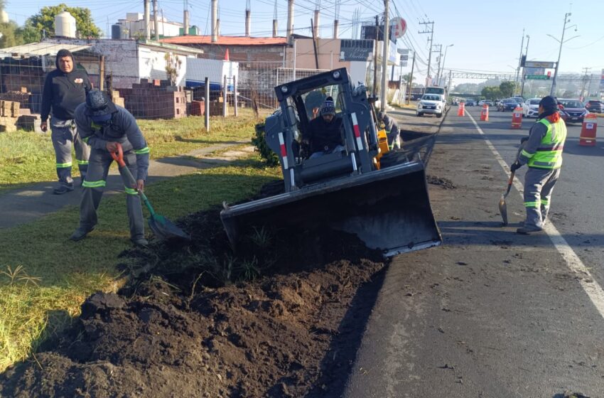 Brigadas de Morelia intervienen camellones del Libramiento Sur