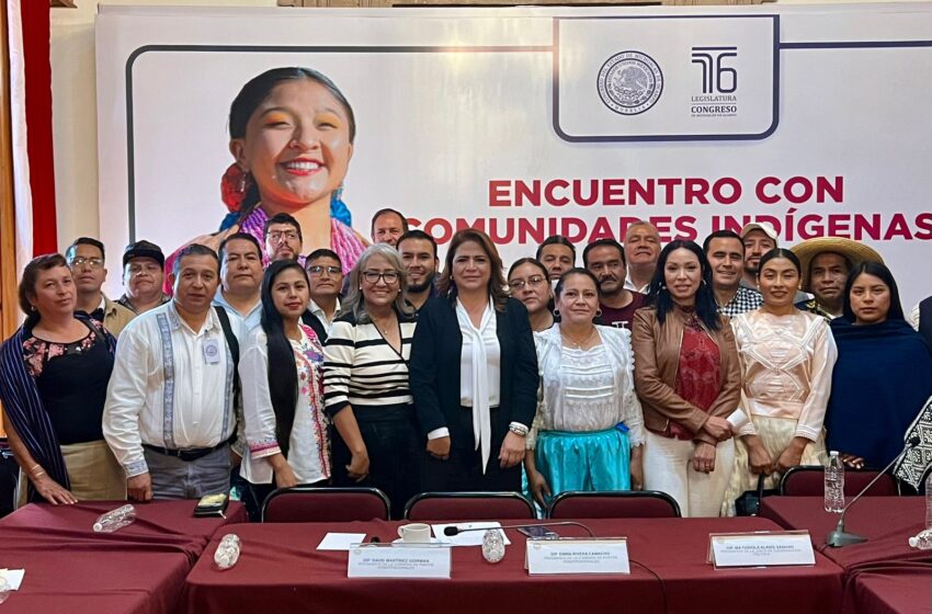 Michoacán, punta de lanza en reconocimiento de derechos indígenas: Fabiola Alanís