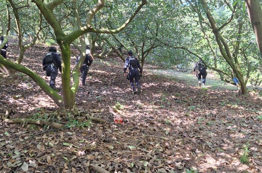  Por aire y tierra, búsqueda de comuneros de San Ángel Zurumucapio