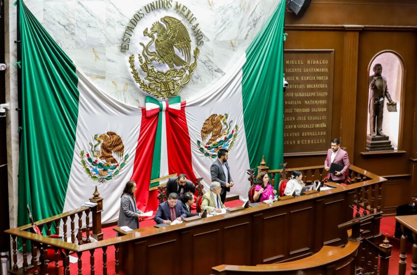 Capacitación para autoempleo y apoyo económico a mujeres embarazas en situación de vulnerabilidad: Congreso local