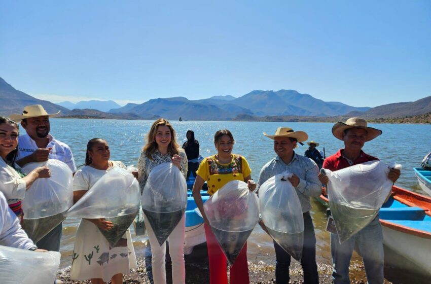  Se pronuncia diputada Brissa Arroyo a favor del municipalismo como eje de desarrollo