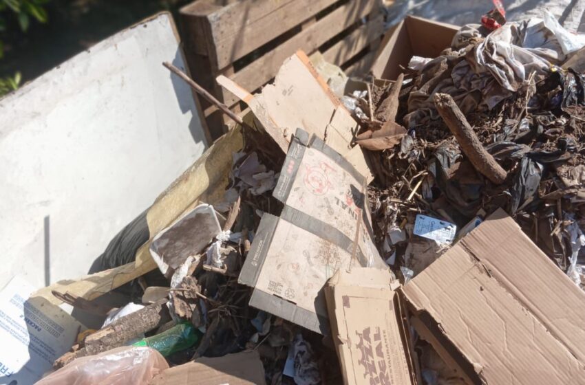  Retiran más de 10 toneladas de basura en Avenida Solidaridad: SLyT