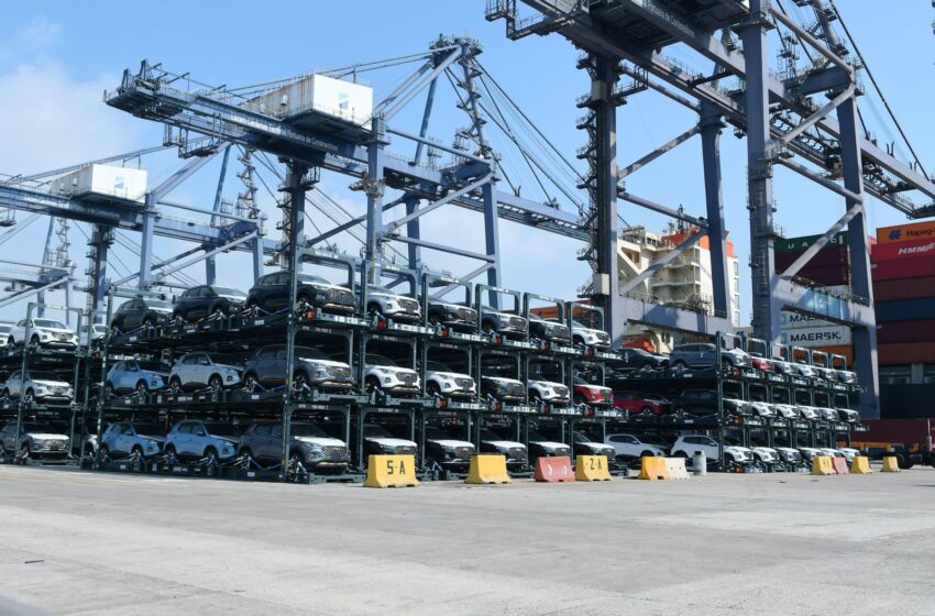  Michoacán alcanzó 4 mil 400 mdd en exportaciones al tercer trimestre de 2024: Sedeco