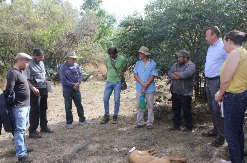  Gobierno de Morelia, con acciones para proteger La Mintzita