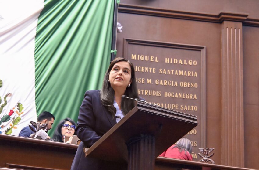  Exhorta diputada Tere Herrera a Ejecutivo estatal a establecer plan emergente en Michoacán