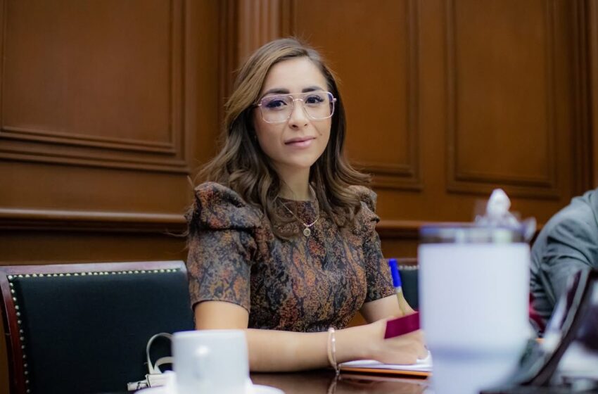 Grecia Aguilar propone reforma para garantizar a las y los jóvenes acceso a proyectos empresariales y productivos