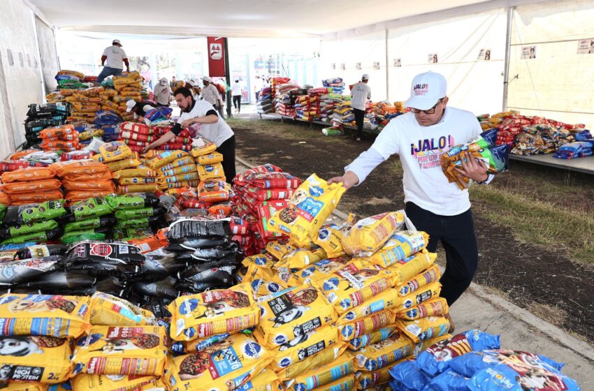 Entregadas a refugios casi 60 toneladas de croquetas para michis y lomitos: Paula Espinosa