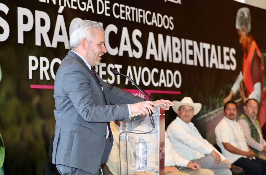  Certificación contra la deforestación ProForest Avocado es voluntaria: Bedolla