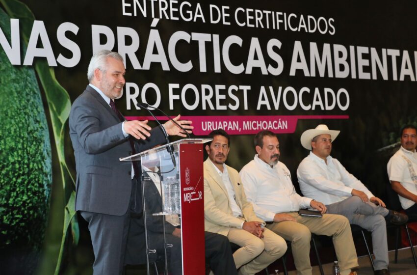  Comunidades indígenas, ejemplo en certificación de huertas de aguacate: Bedolla