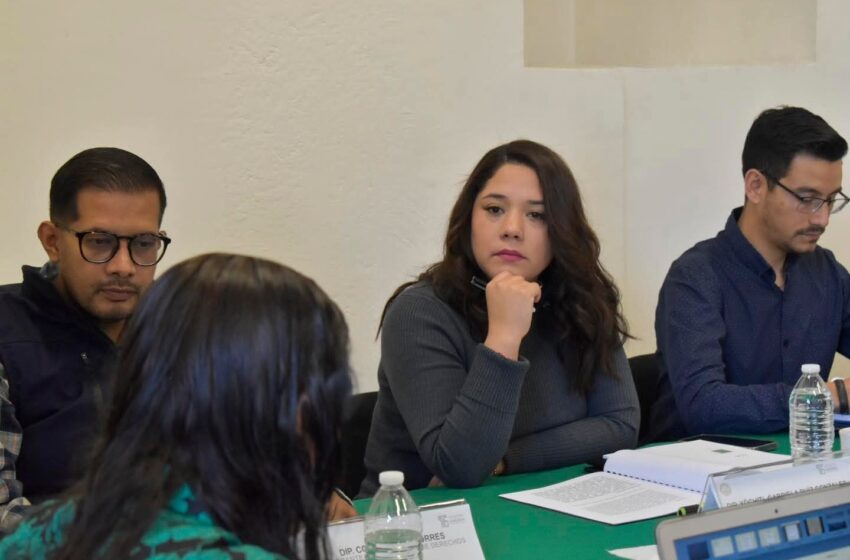  Dictamina Comisión de Derechos Humanos revisión de glosa del informe del Ejecutivo: Xóchitl Ruiz