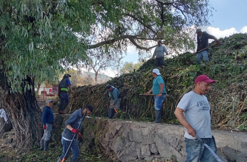 Avanza rescate de La Mintzita; extraídos más de mil metros cúbicos de maleza: Secma