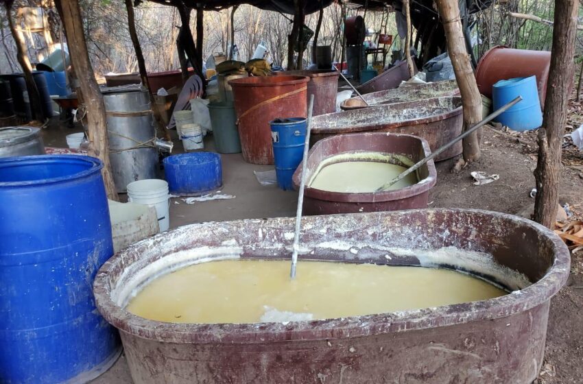  Duro golpe al narco; aseguran laboratorio y 100 kg de mentanfetamina: SSP