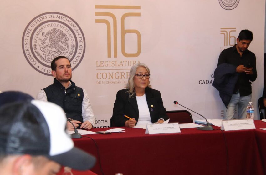  Congreso está abierto a atender demandas del magisterio de la CNTE: Emma Rivera