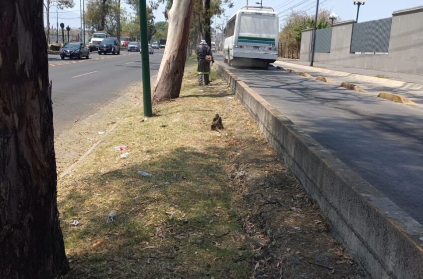  Ayuntamiento de Morelia realiza acciones de mantenimiento y embellecimiento urbano al poniente
