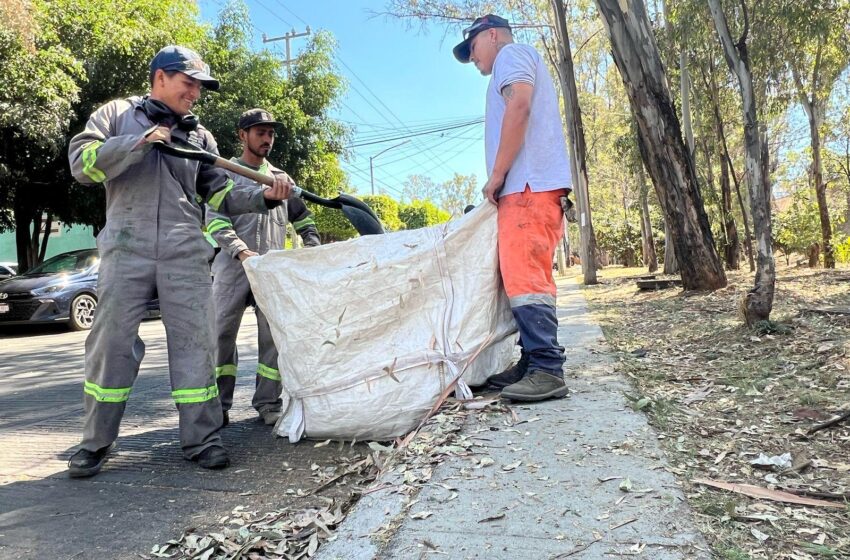  Gobierno de Morelia refuerza acciones de limpieza en espacios públicos