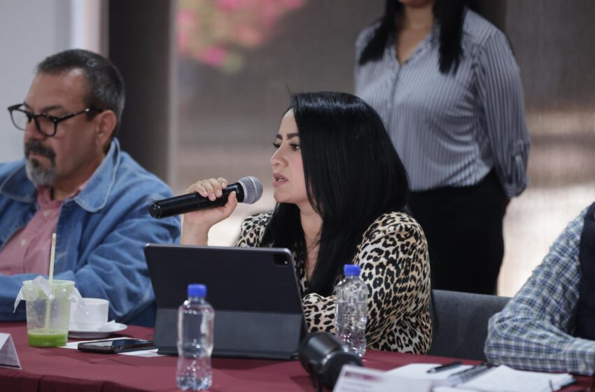  Sedum fortalece a Hidalgo en gestión territorial: Gladyz Butanda
