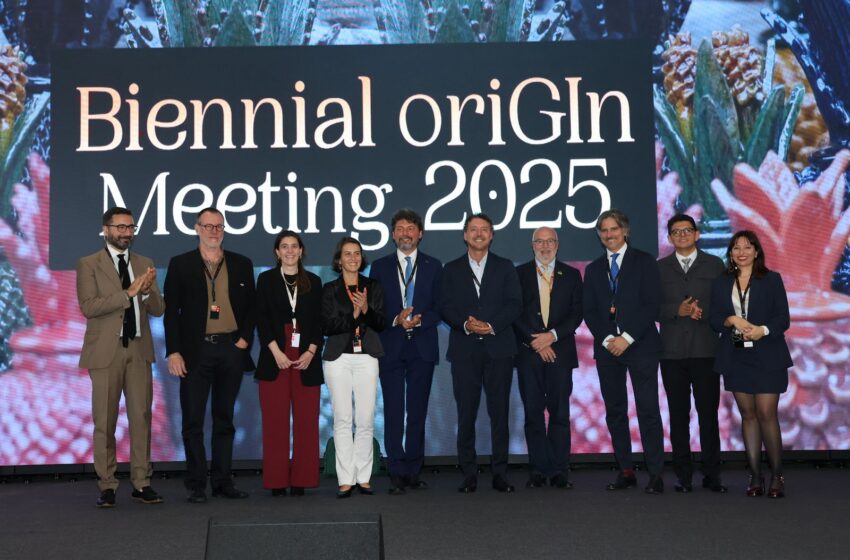  Nombran a Cástor Estrada Robles, director de Casart, como vicepresidente de oriGIn