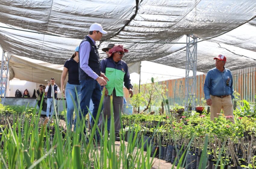  Gobierno de Alfonso Martínez trabaja en el rescate del Bosque Morelos