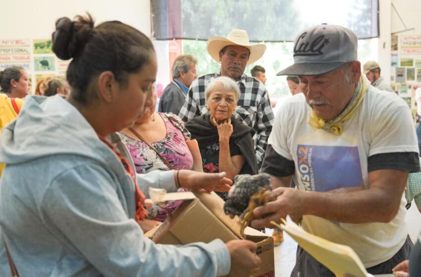  Agrosano ha entregado 150 mil aves e insumos para la soberanía alimentaria de 15 mil familias: Sader