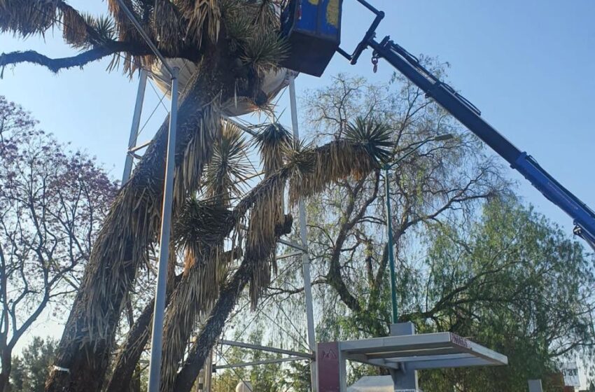  Gobierno de Morelia interviene y mejora áreas verdes