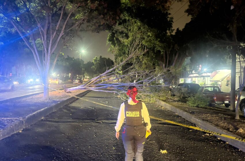 Atiende Gobierno de Morelia contingencias por lluvia